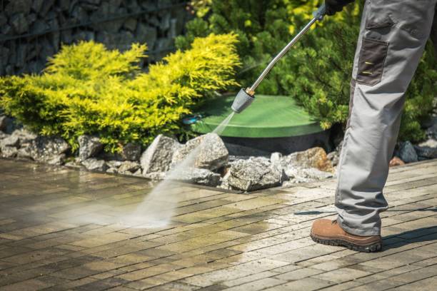 Best Sidewalk and Walkway Cleaning  in Quitman, MS