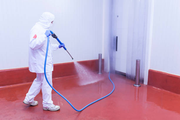 Best Restaurant Pressure Washing  in Quitman, MS